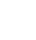 Liwa Dates Festival